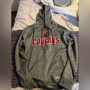 champion hoodie wsu